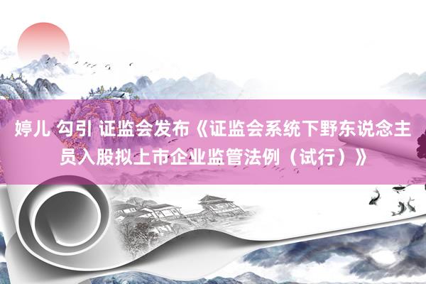 婷儿 勾引 证监会发布《证监会系统下野东说念主员入股拟上市企业监管法例（试行）》