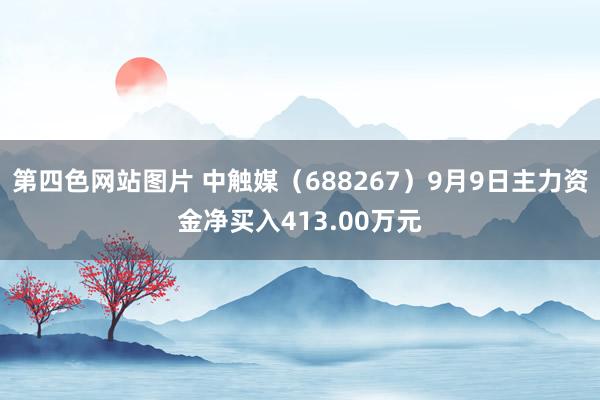 第四色网站图片 中触媒（688267）9月9日主力资金净买入413.00万元