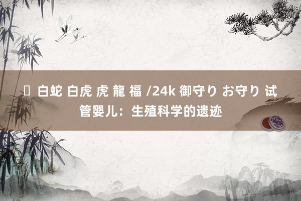 ✨白蛇 白虎 虎 龍 福 /24k 御守り お守り 试管婴儿：生殖科学的遗迹