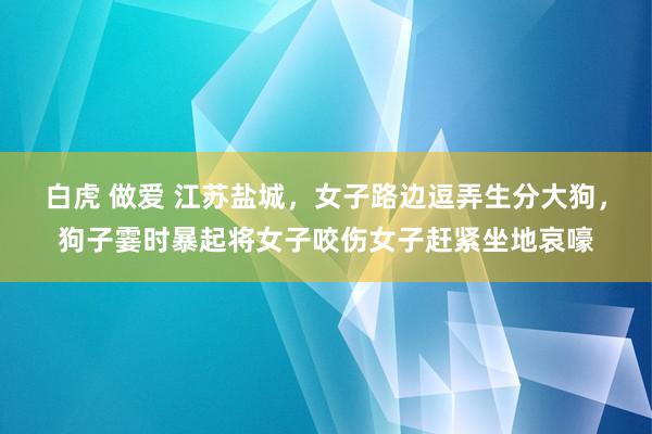 白虎 做爱 江苏盐城，女子路边逗弄生分大狗，狗子霎时暴起将女子咬伤女子赶紧坐地哀嚎