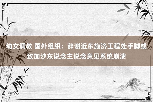 幼女调教 国外组织：辞谢近东施济工程处手脚或致加沙东说念主说念意见系统崩溃
