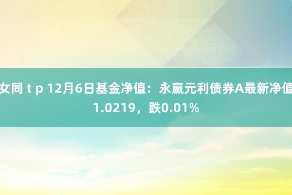 女同 t p 12月6日基金净值：永赢元利债券A最新净值1.0219，跌0.01%
