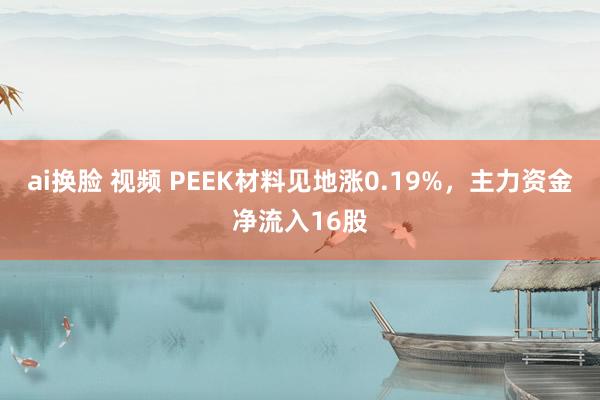 ai换脸 视频 PEEK材料见地涨0.19%，主力资金净流入16股