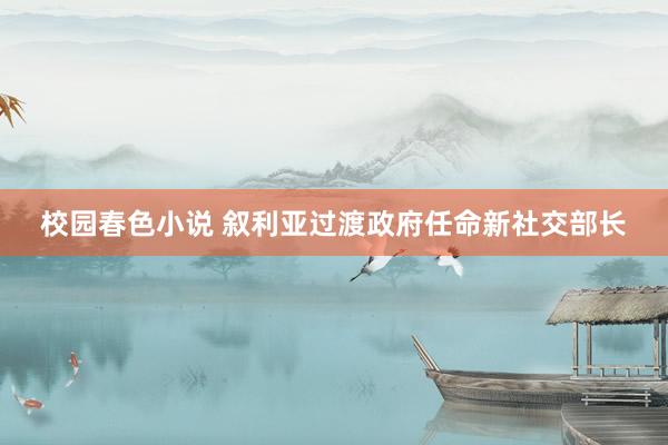 校园春色小说 叙利亚过渡政府任命新社交部长