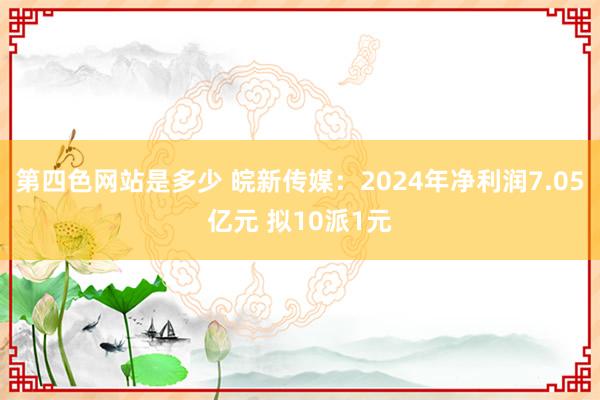 第四色网站是多少 皖新传媒：2024年净利润7.05亿元 拟10派1元