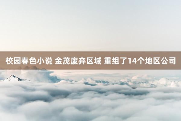 校园春色小说 金茂废弃区域 重组了14个地区公司
