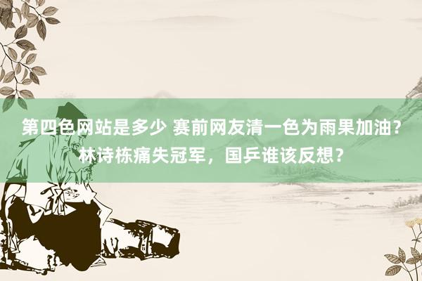 第四色网站是多少 赛前网友清一色为雨果加油？林诗栋痛失冠军，国乒谁该反想？